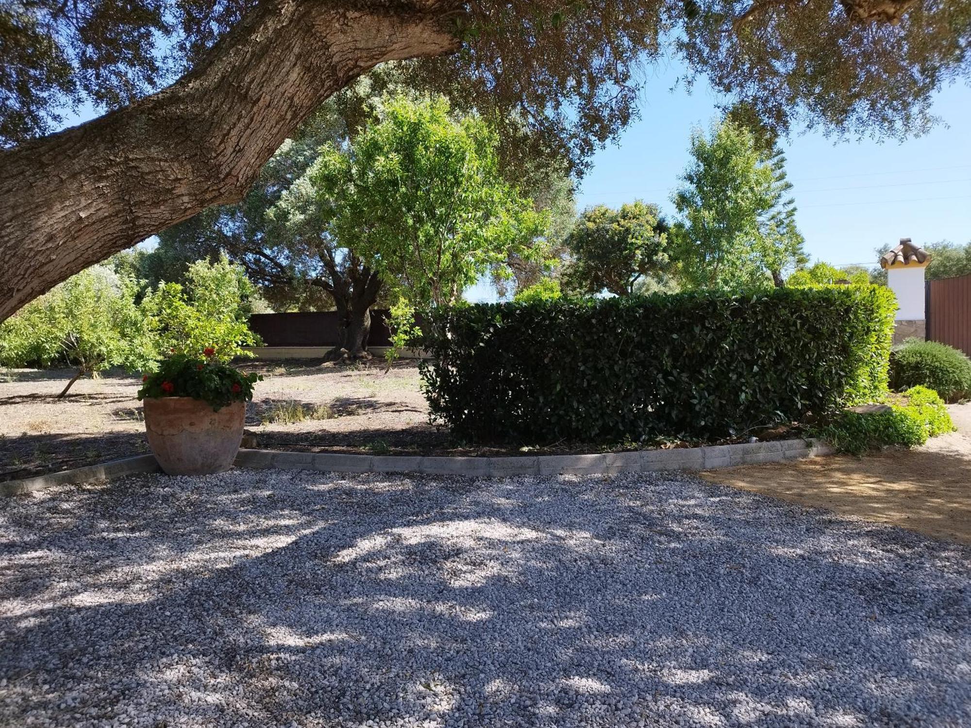 Vivienda Rural Los Madronos Malcocinado  Bagian luar foto